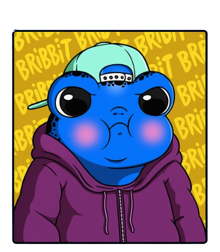 BRIBBIT NFT preview: baby frog in hoodie with BRIBBIT background